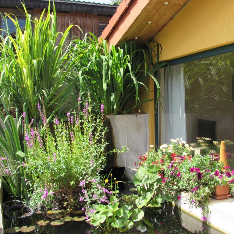 Ferienwohnung "Eifelstueffje" Мехерніх Номер фото