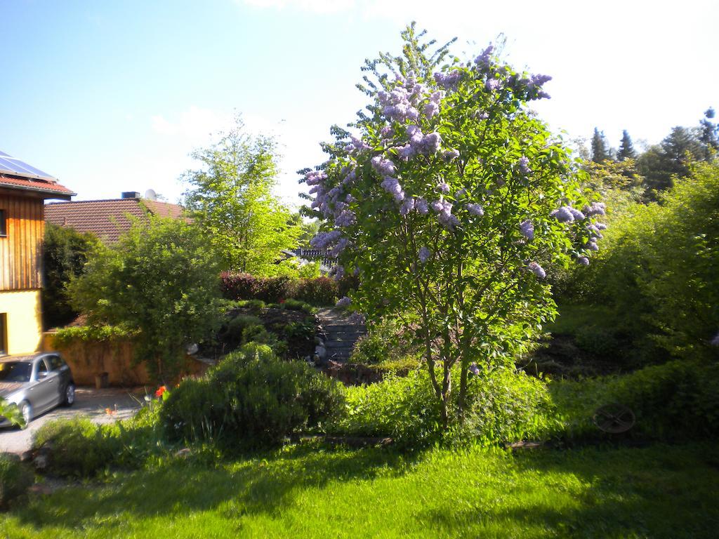 Ferienwohnung "Eifelstueffje" Мехерніх Номер фото